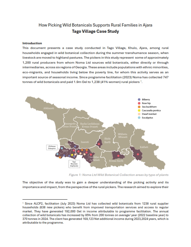Wild Botanicals Tago Village Case Study
